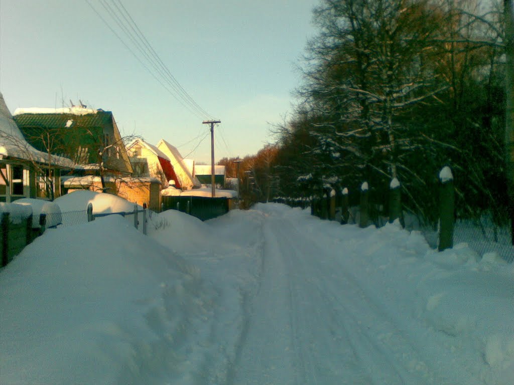 Около леса