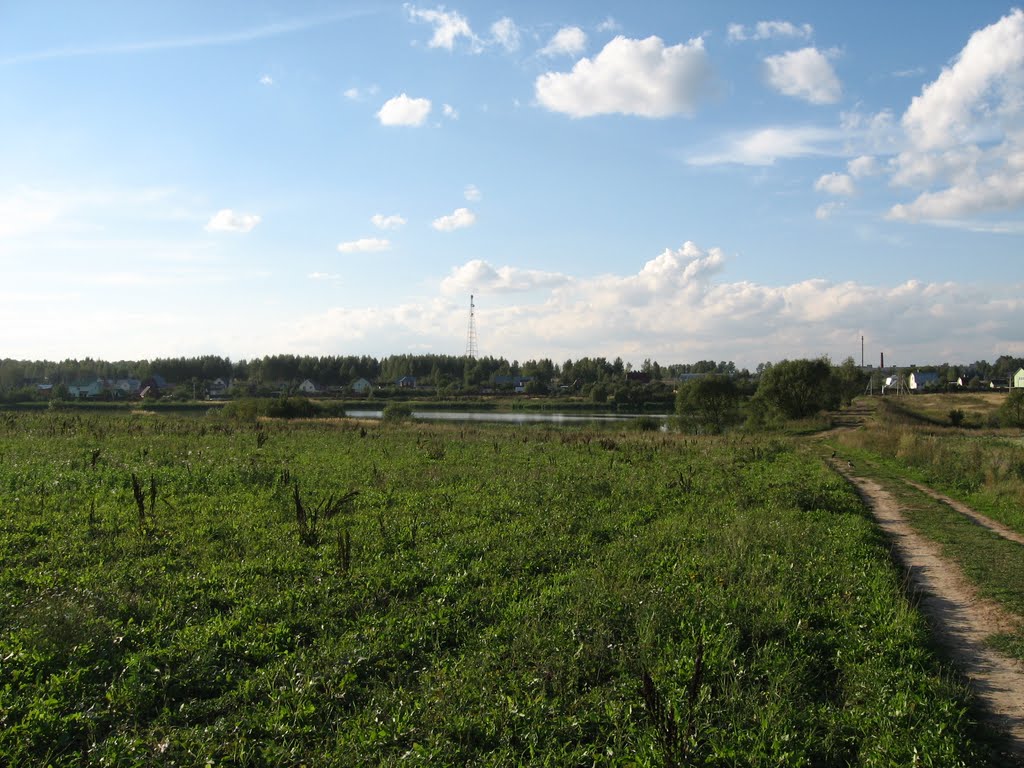 Zhitnevo