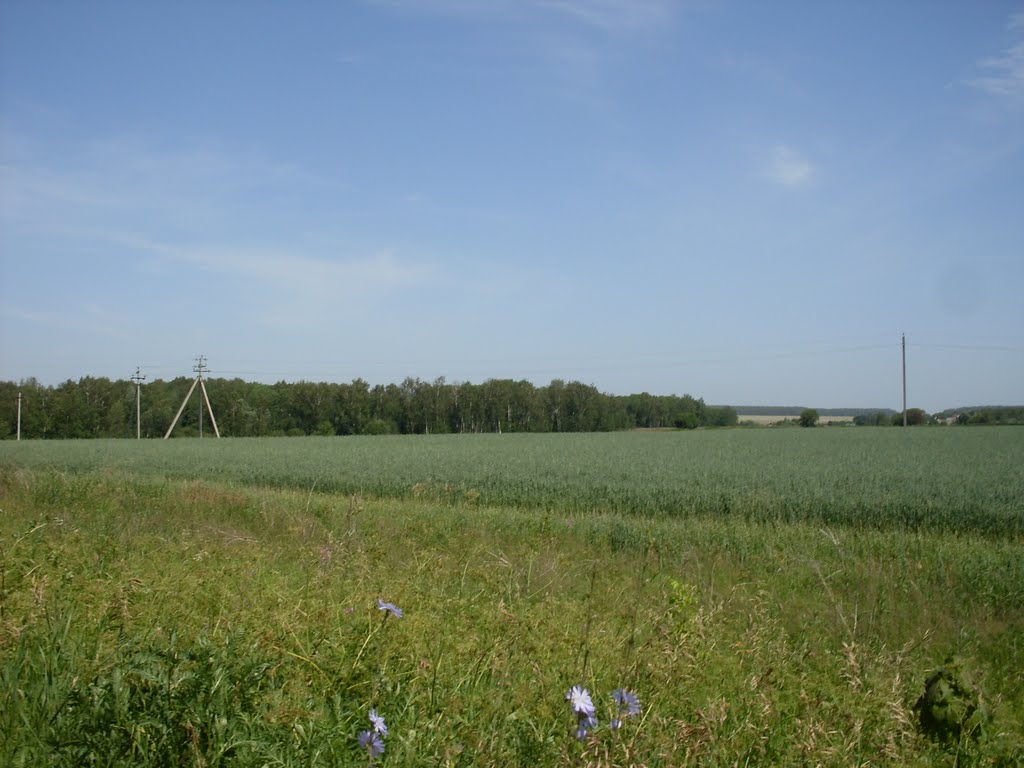 жаркий день