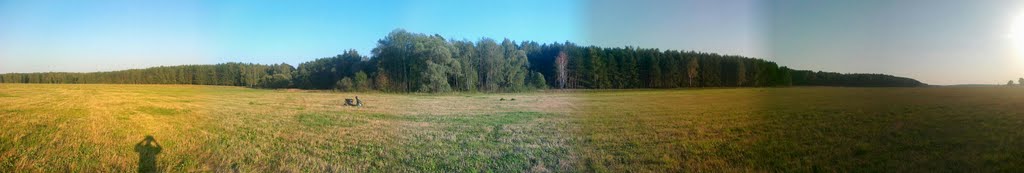 Панорама поля