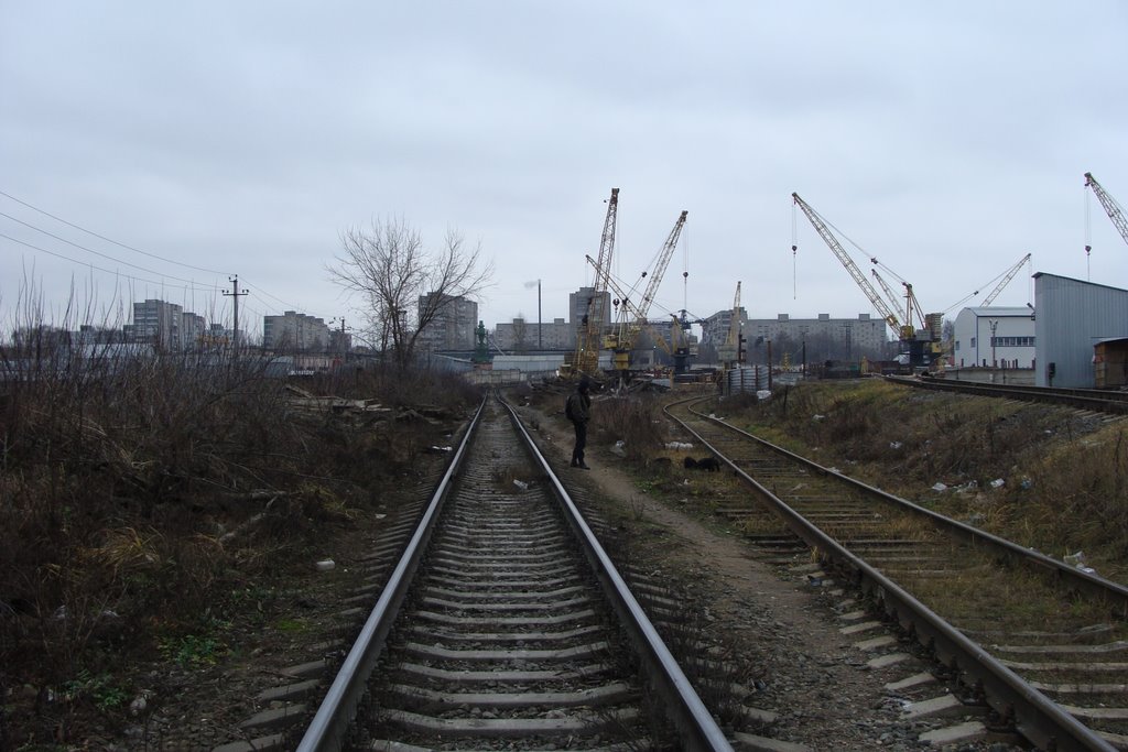 Некрасовка