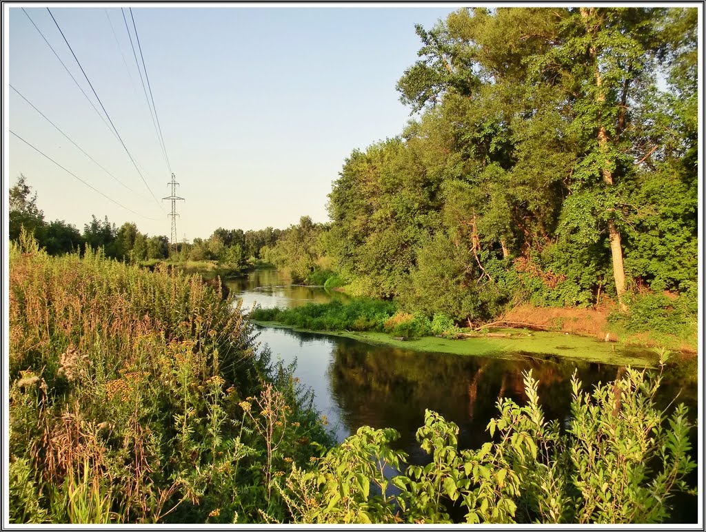 July evening on the riverside