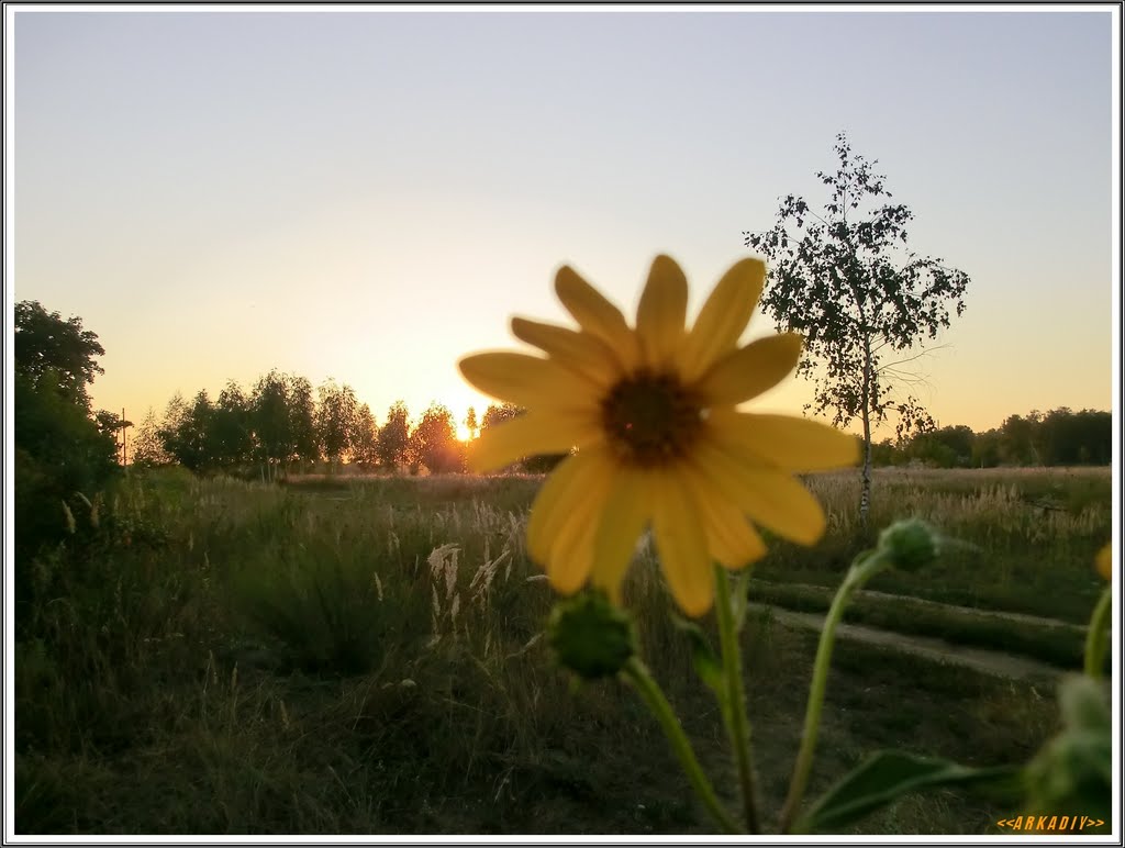 Sun and Flower
