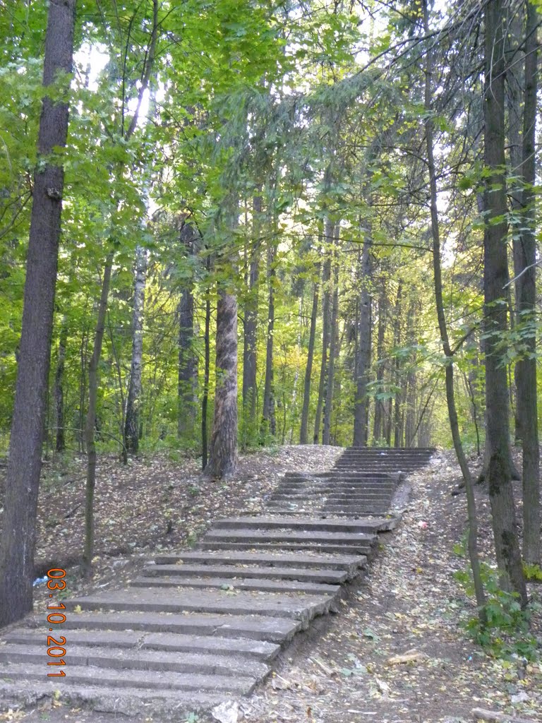 лестница в парк