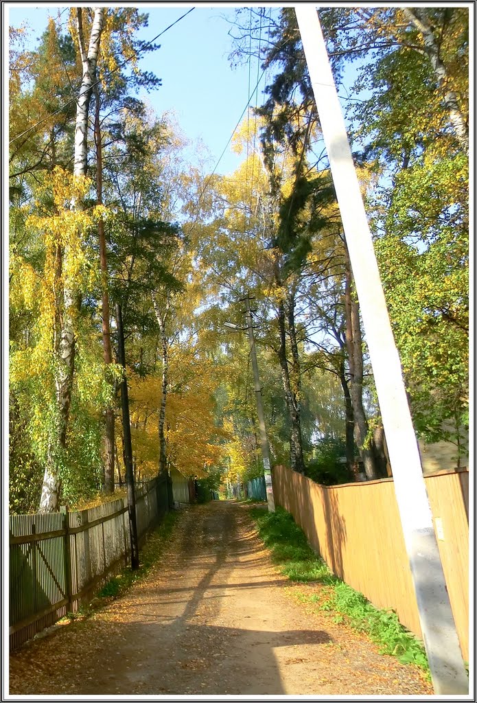 Autumn street