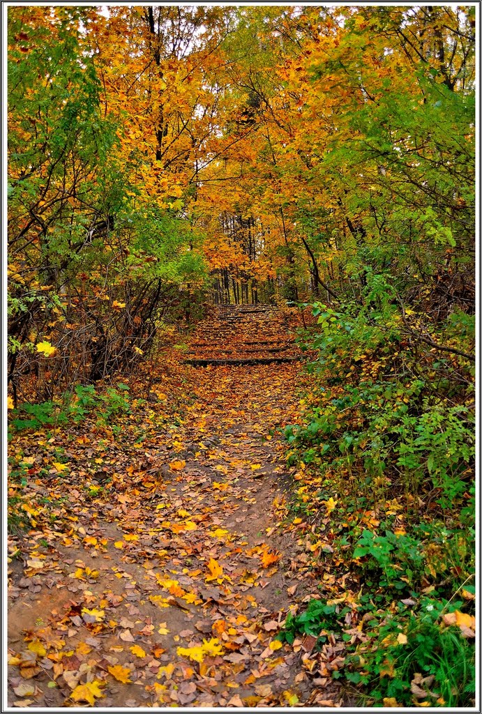 _autumn motive_