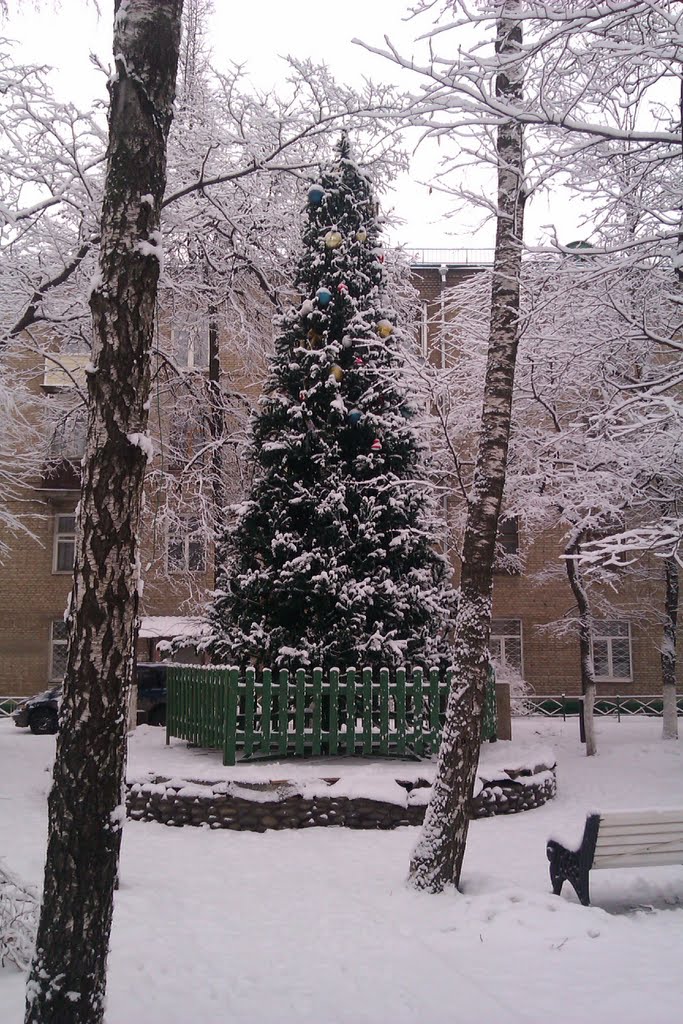 Первый день нового 2012 года
