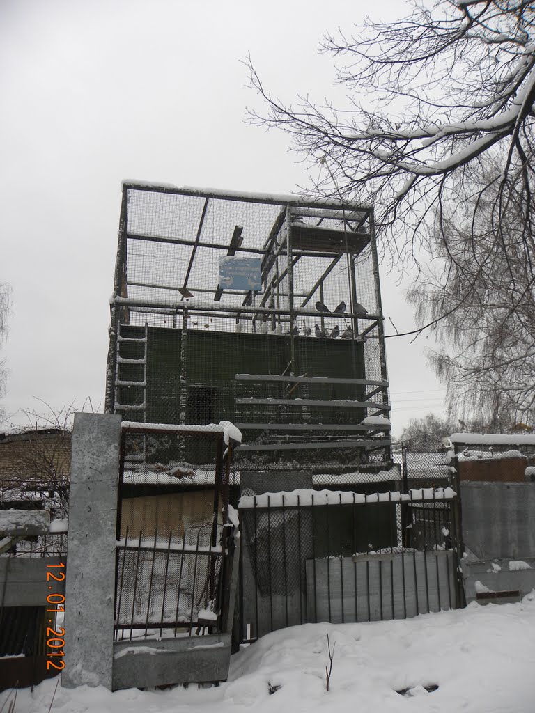 Клуб голубеводов 1262