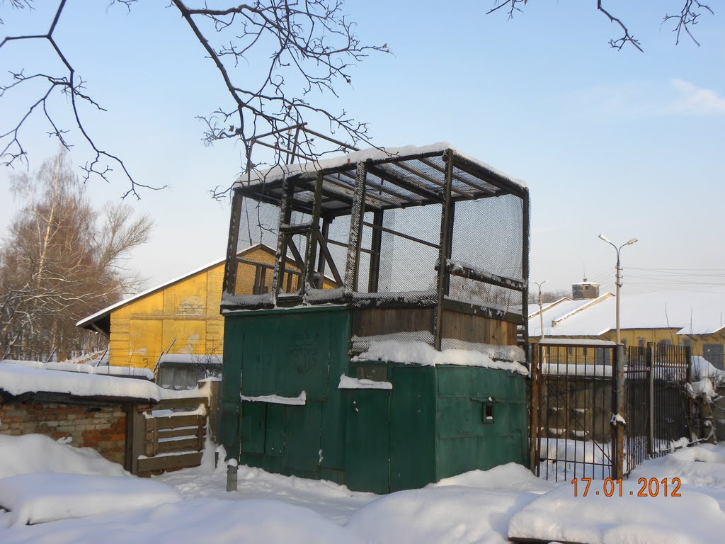 голубятня