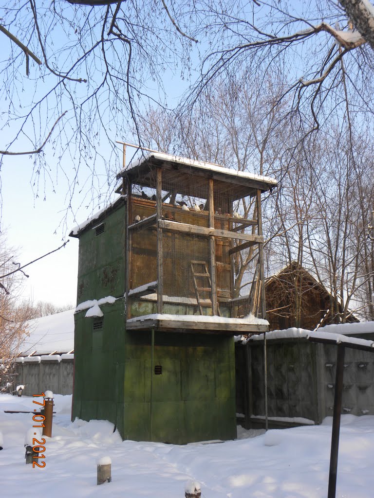 голубятня