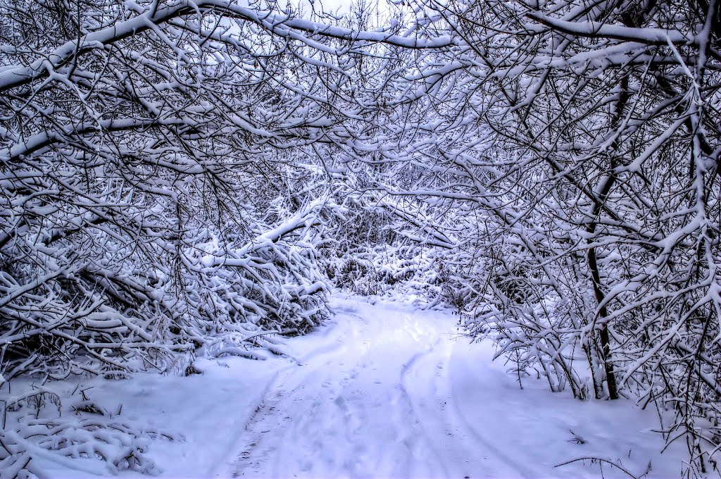 Entrance to the ice kingdom