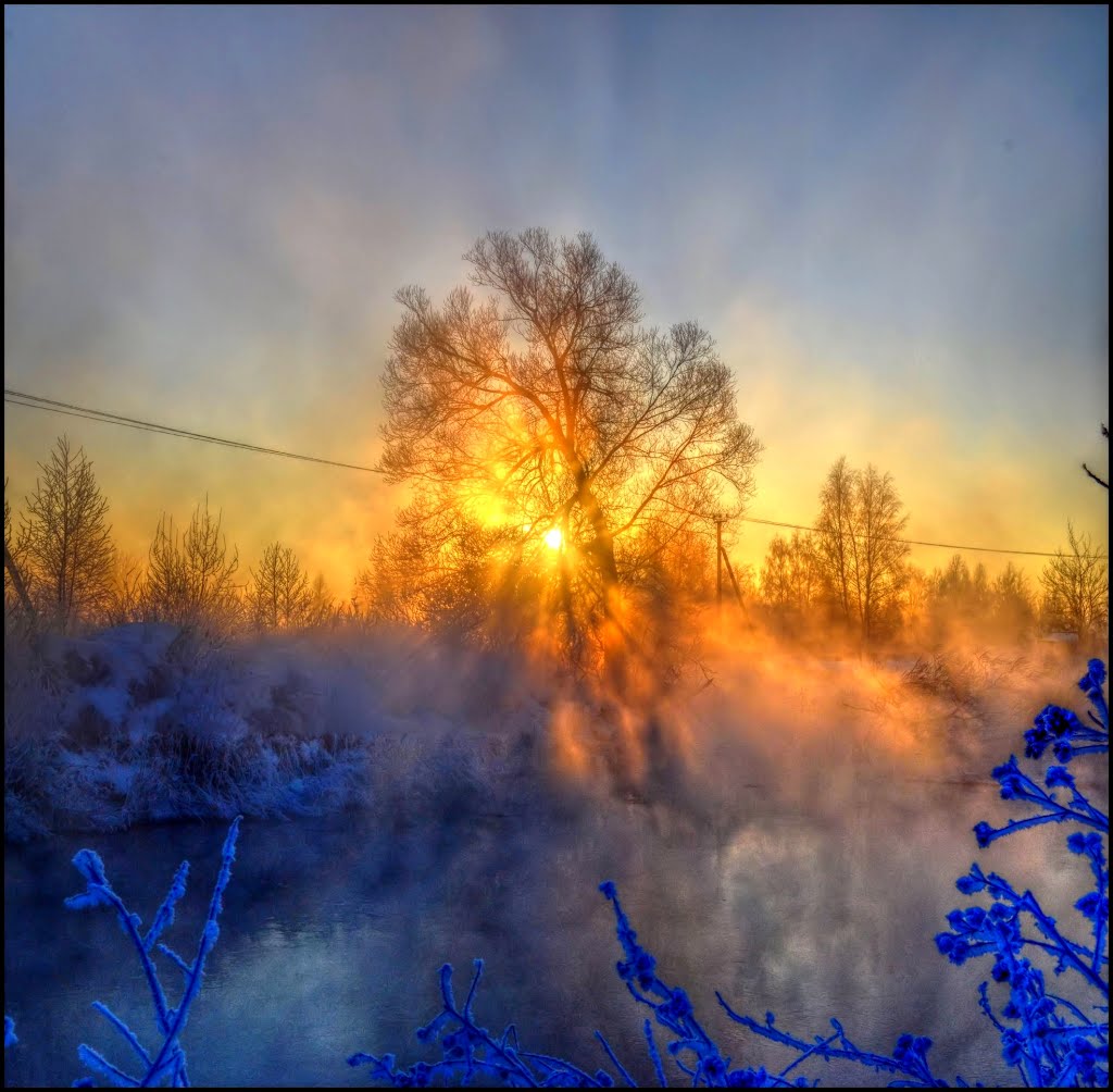 Frosty december dawn