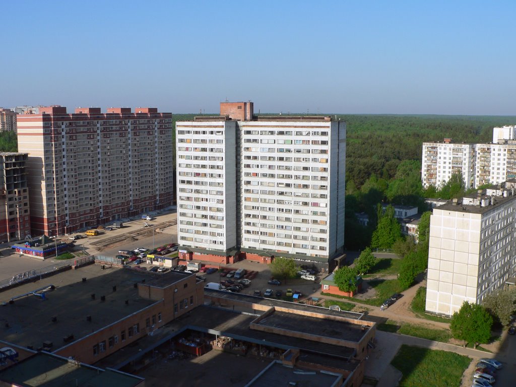 хилтон