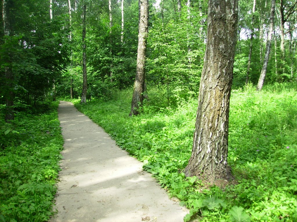 дорожка в парке
