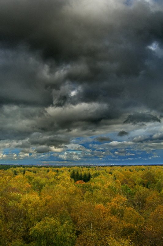 Троицк осенью