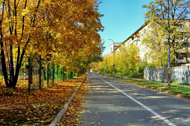 Троицк осенью