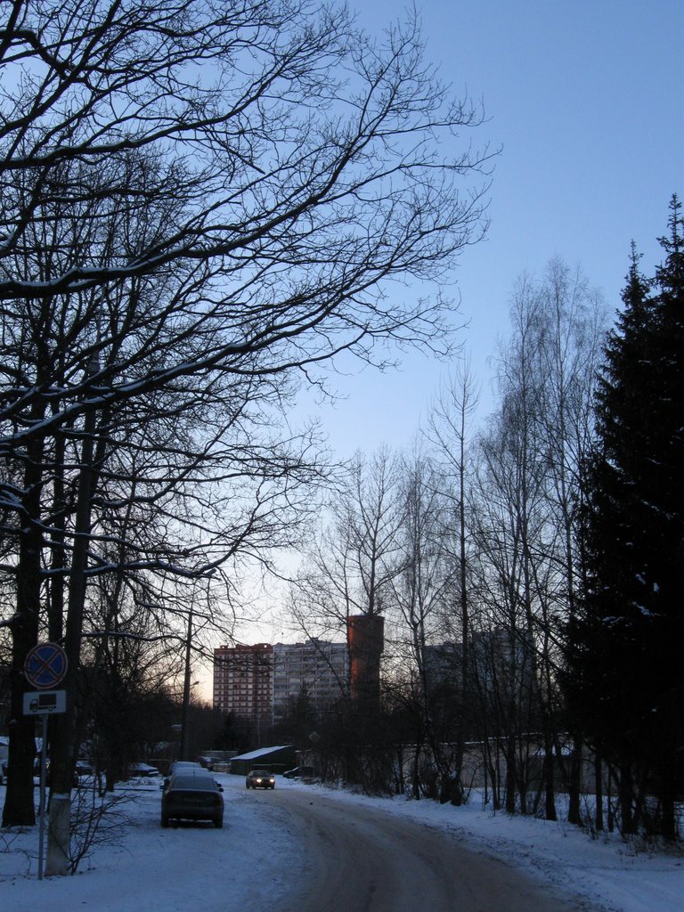 Улица Пушковых (на запад)
