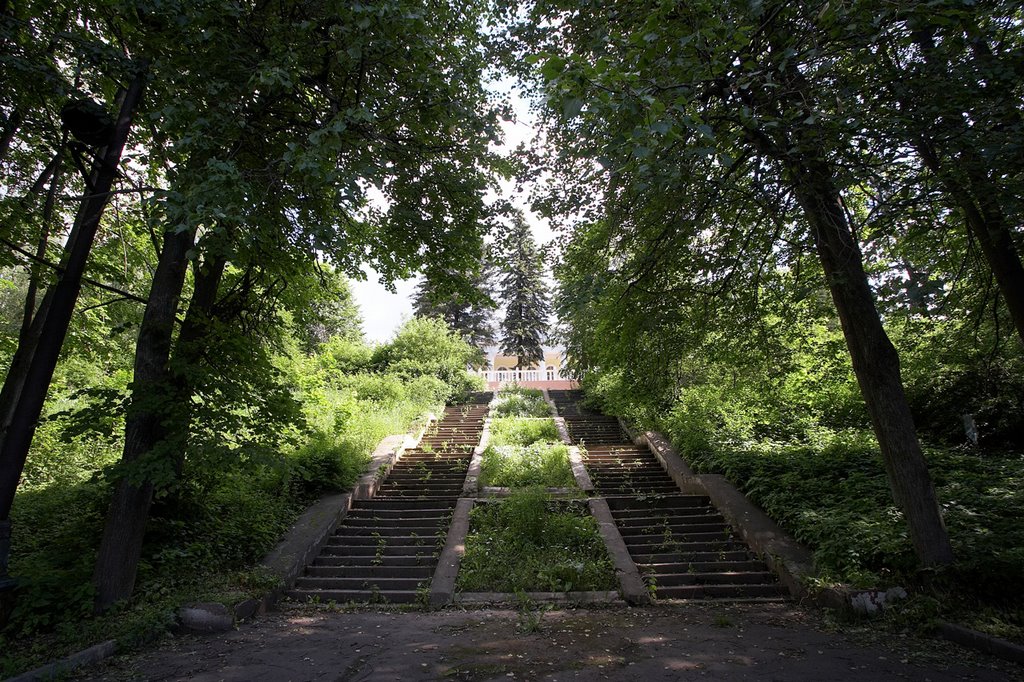 Лестница заросшая