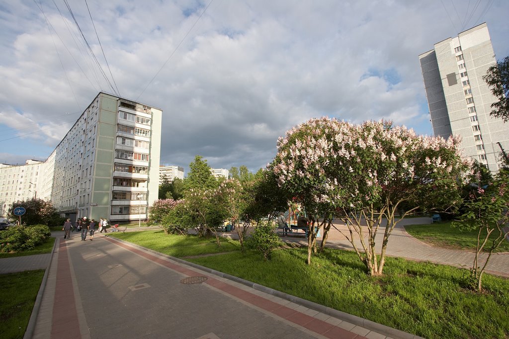Сирень на Сиреневом