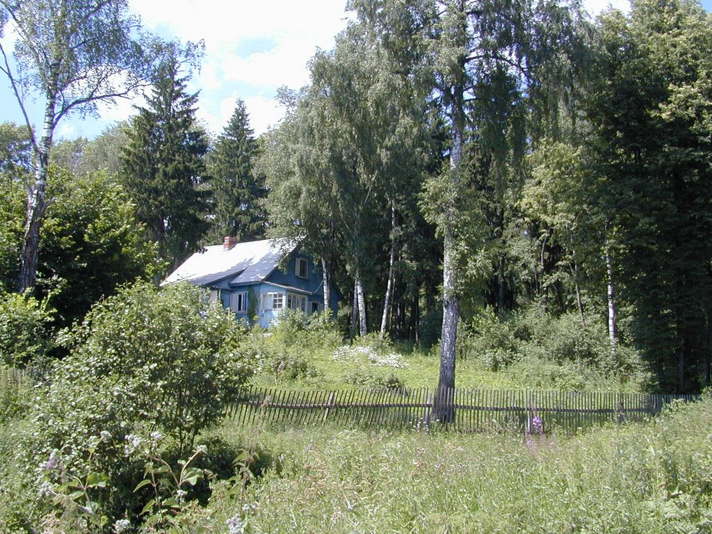 Country House in Vatutinki