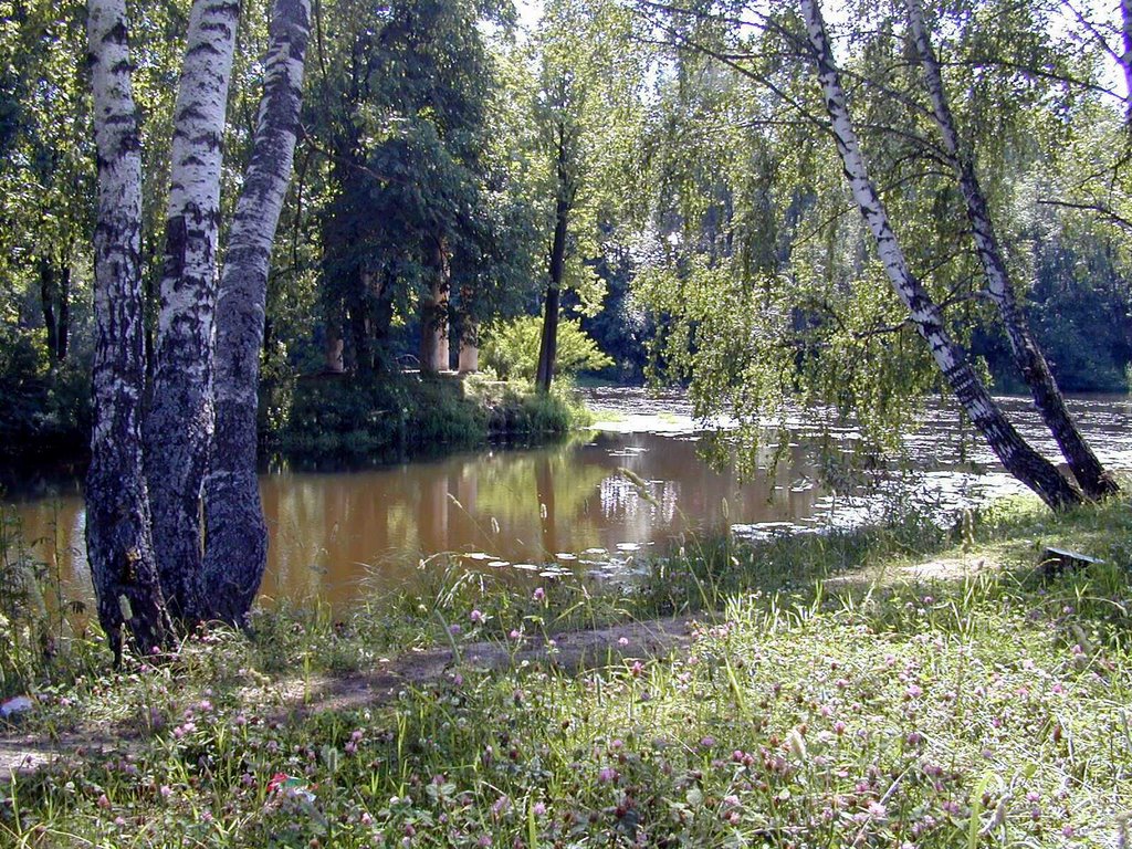 On the Bank