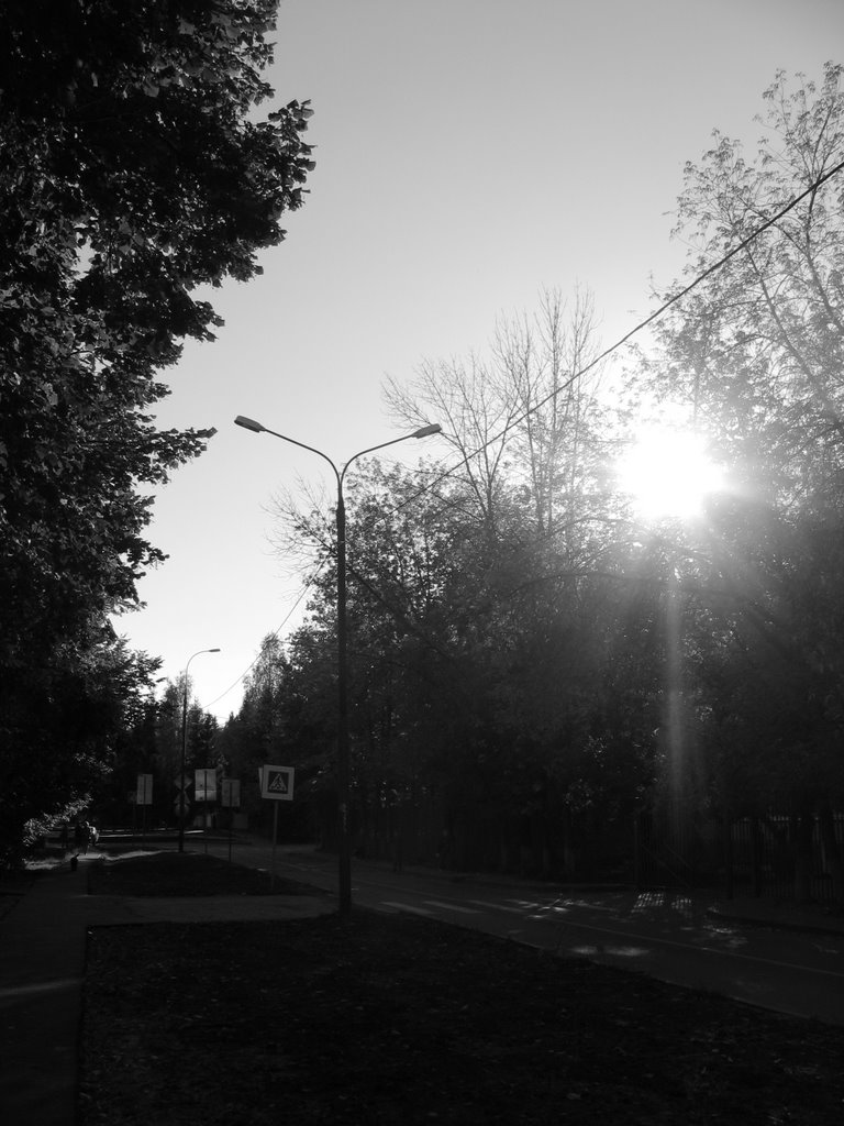 Улица Школьная