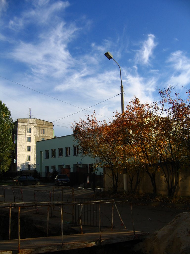Улица Лесная