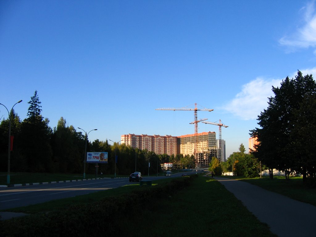 Октябрьский проспект
