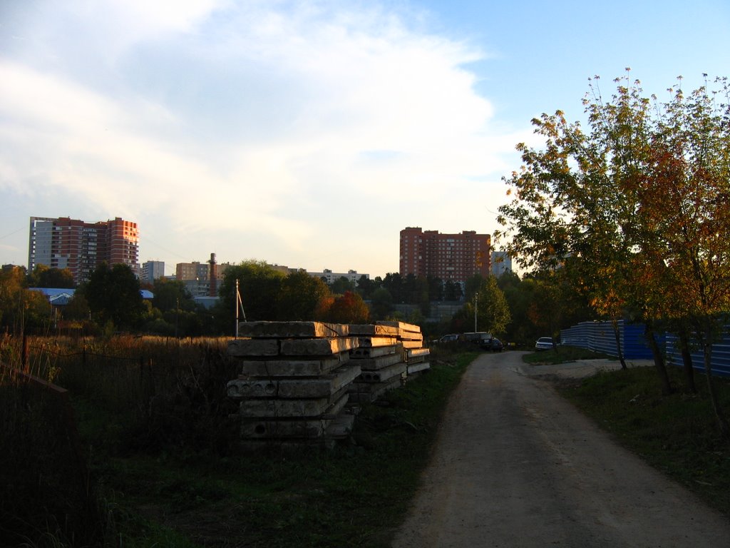 Вид из Заречья 1