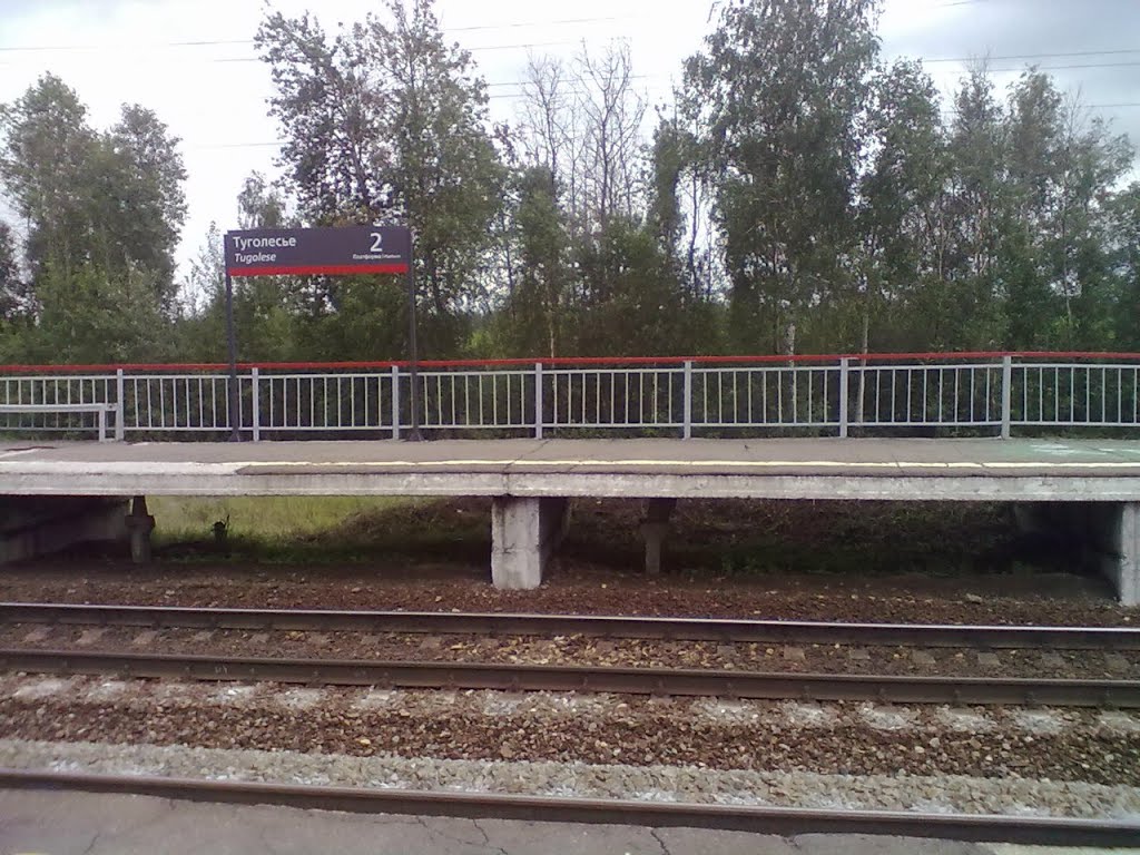 Туголесье