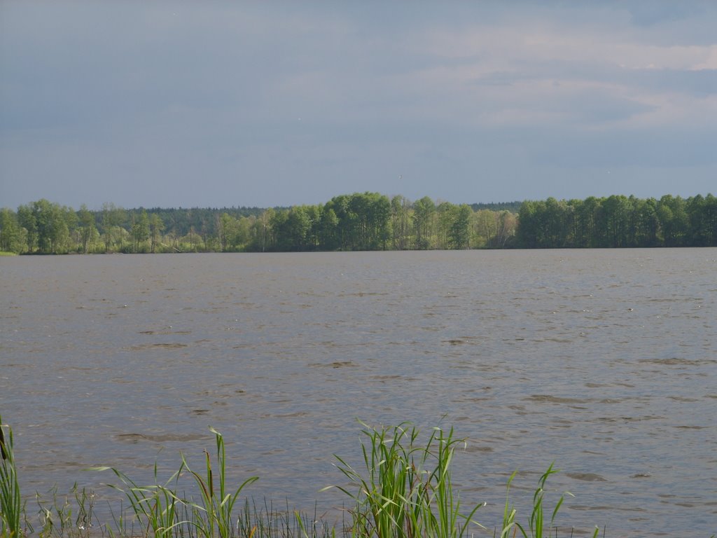 Свиношное с В. Перед грозою. Swinoschnoye fom E. Just before the trhunderstorm