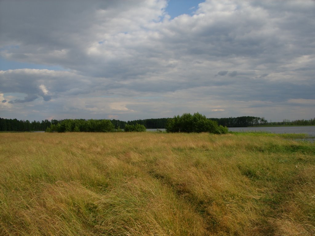 Свиношное, луга у В берега. Swinoschnoye, meadows at the E coast