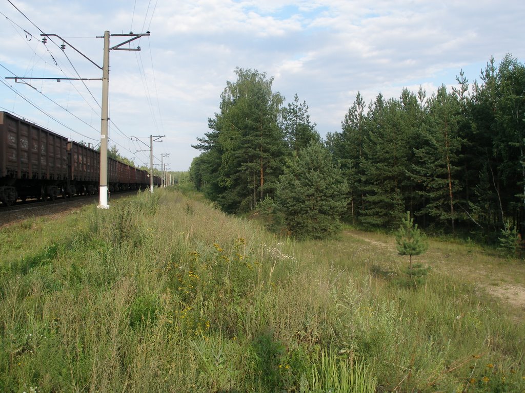 Мещора. Состав  идёт на Черусти. Meshchora. The train goes to Cherusti. August. Afternoon.
