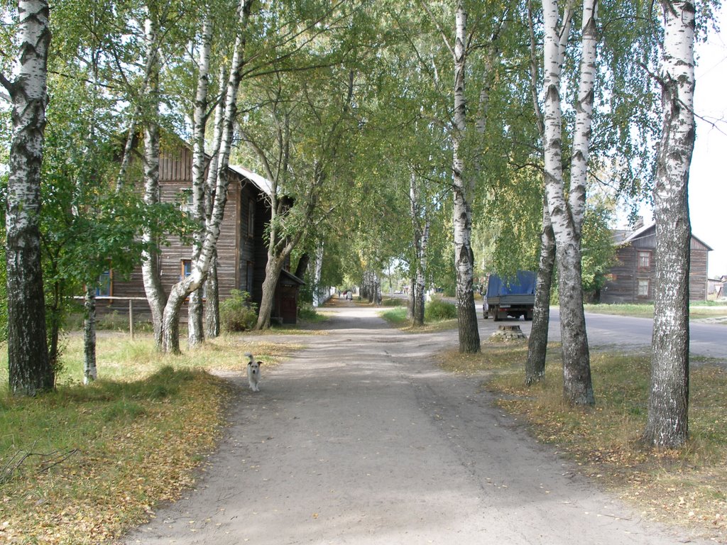 Мещора. Посёлок торфопредприятия Туголесский Бор. Главная улица. Meshchora. Old peat-cutters township Tugolesskiy Bor. Main street