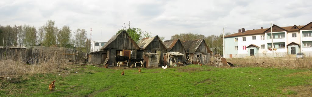 Сараи