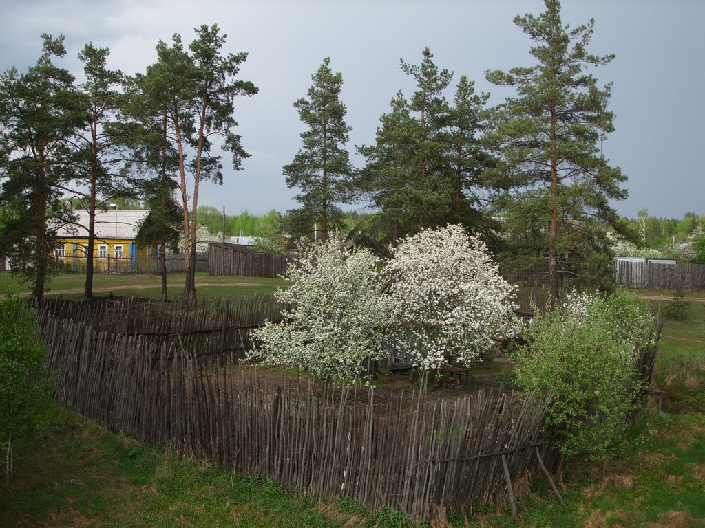 Май у платформы Туголесье. The May near the Tugolese Station