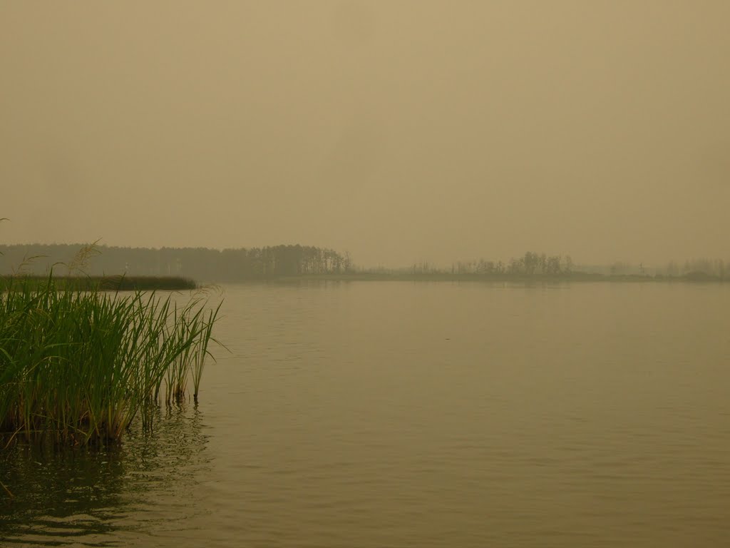 Сушь 2010. Свиношное озеро во мгле