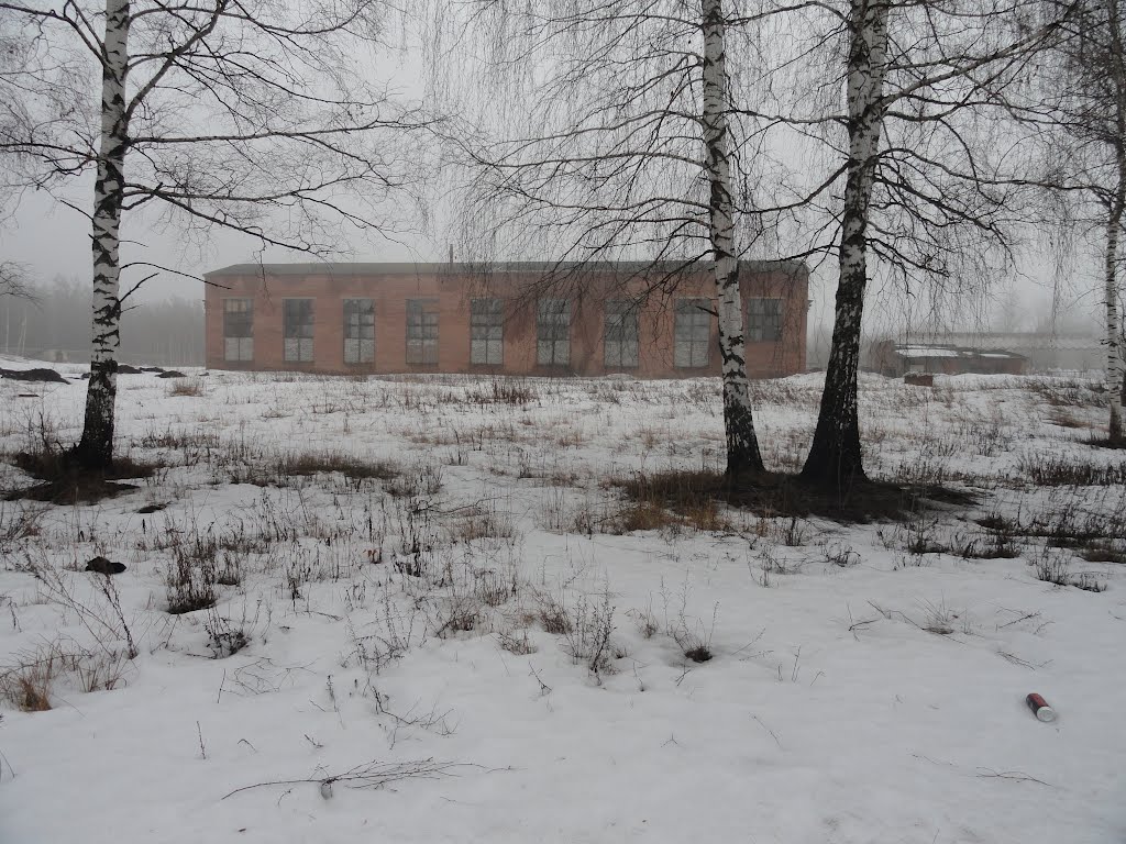 Шатурский район, Московская область