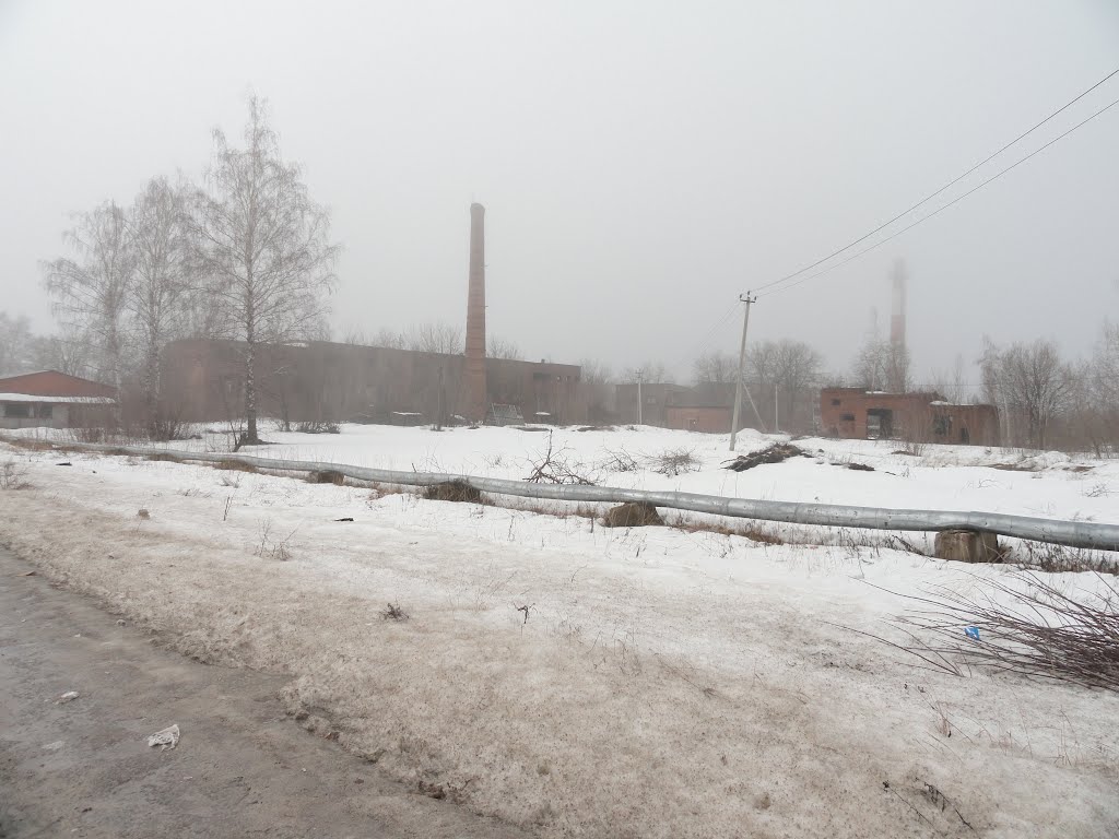 Туголесский Бор