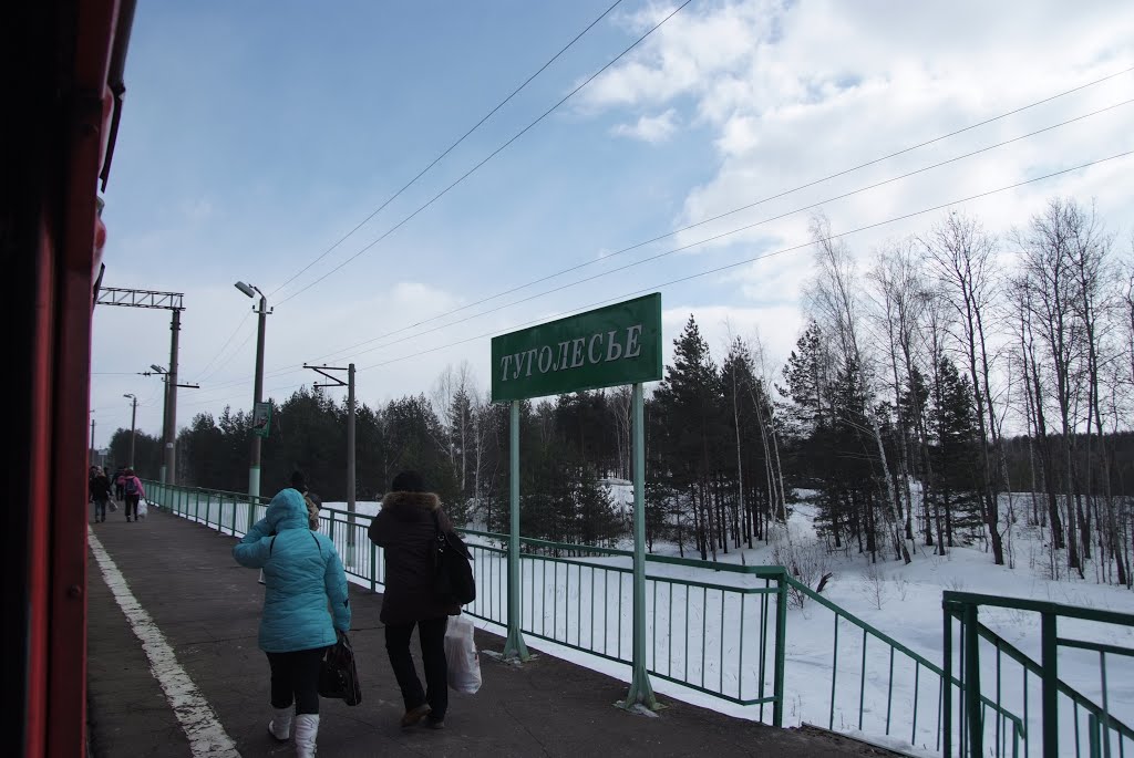 Туголесье