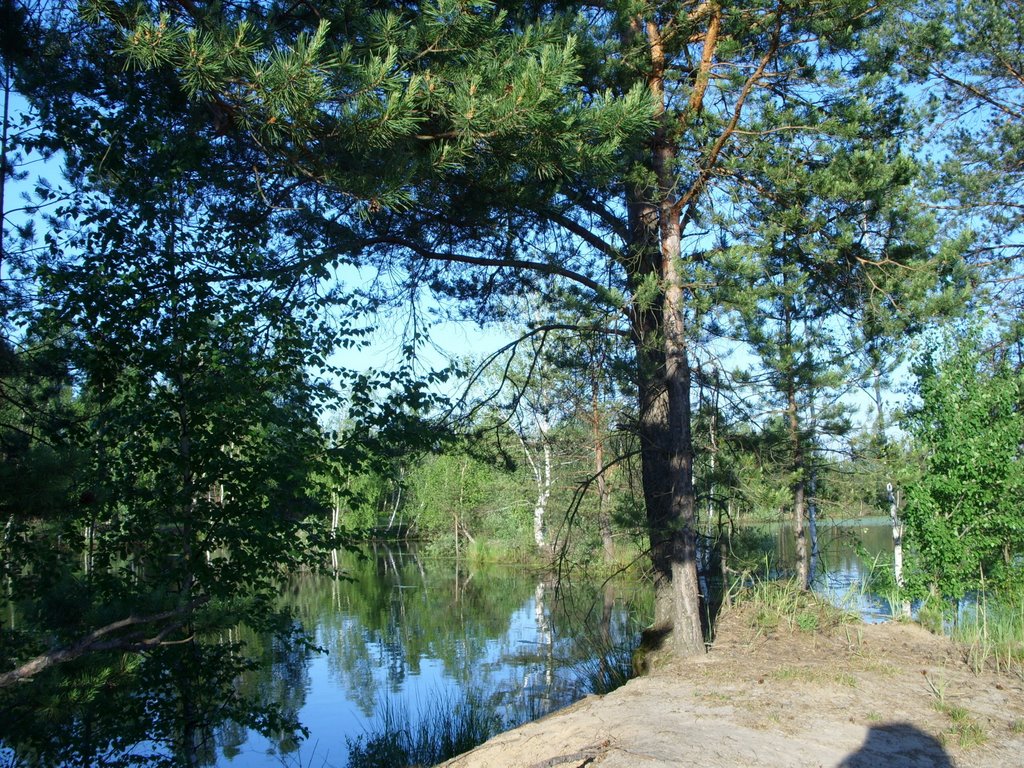 Кладбищенский пруд. The cemetery pond