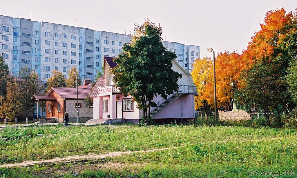 A View of Tuchkovo
