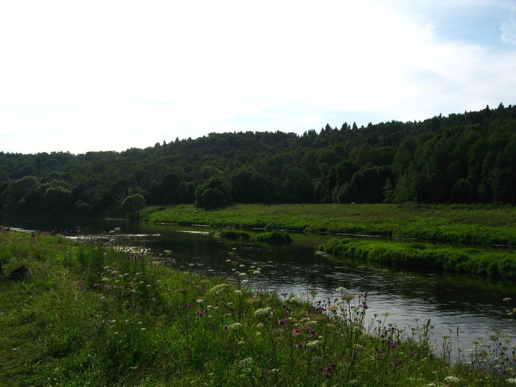 Islands on the Moscow river