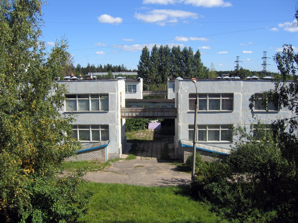 Детский сад