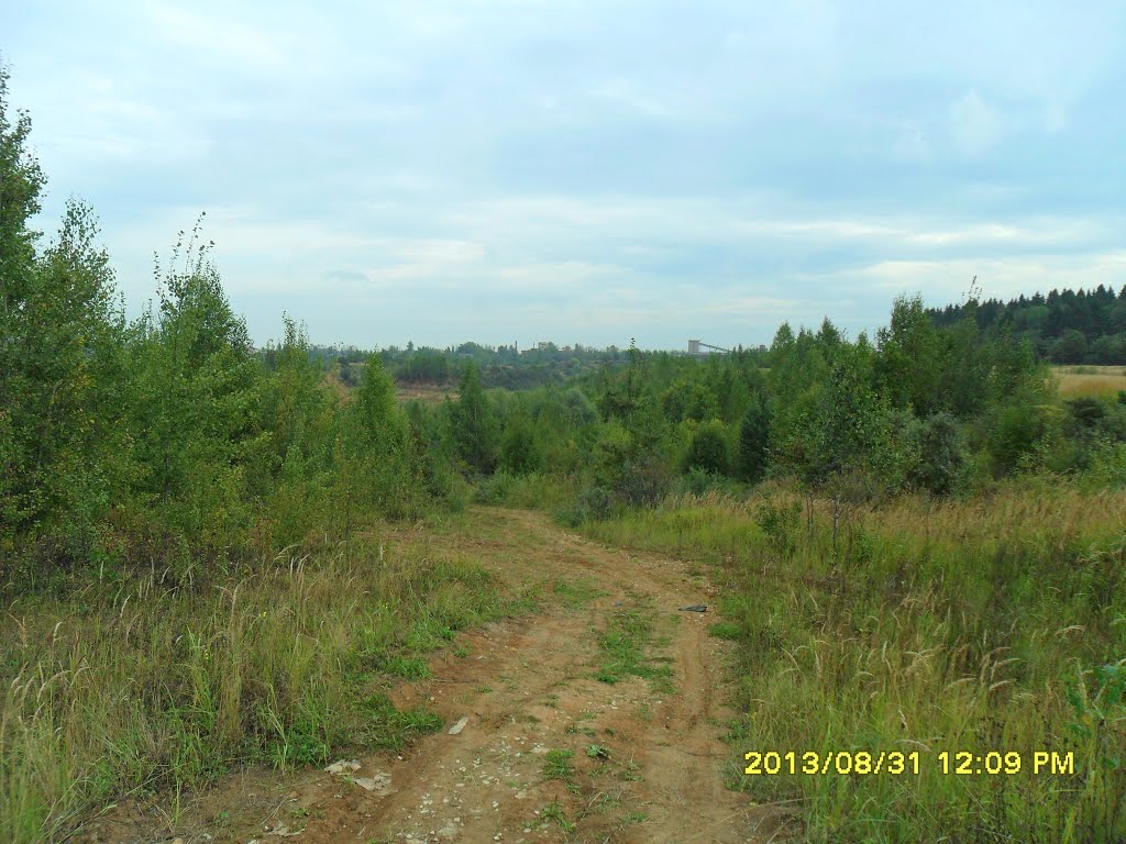 Старый карьер. м