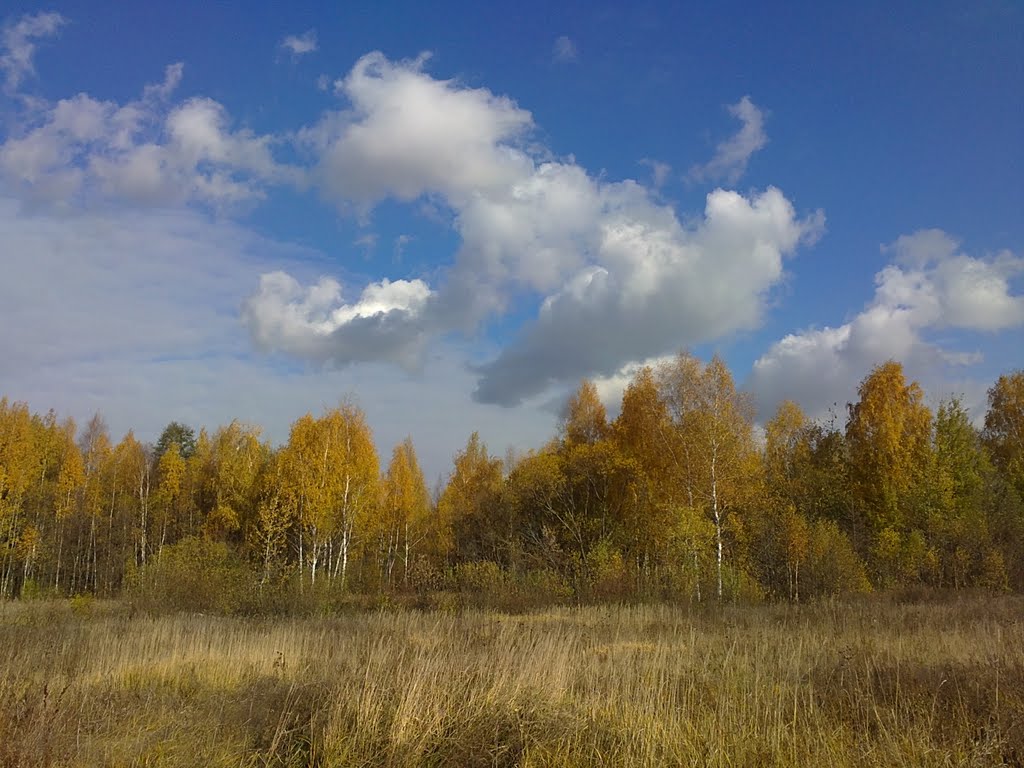 Осень на болоте