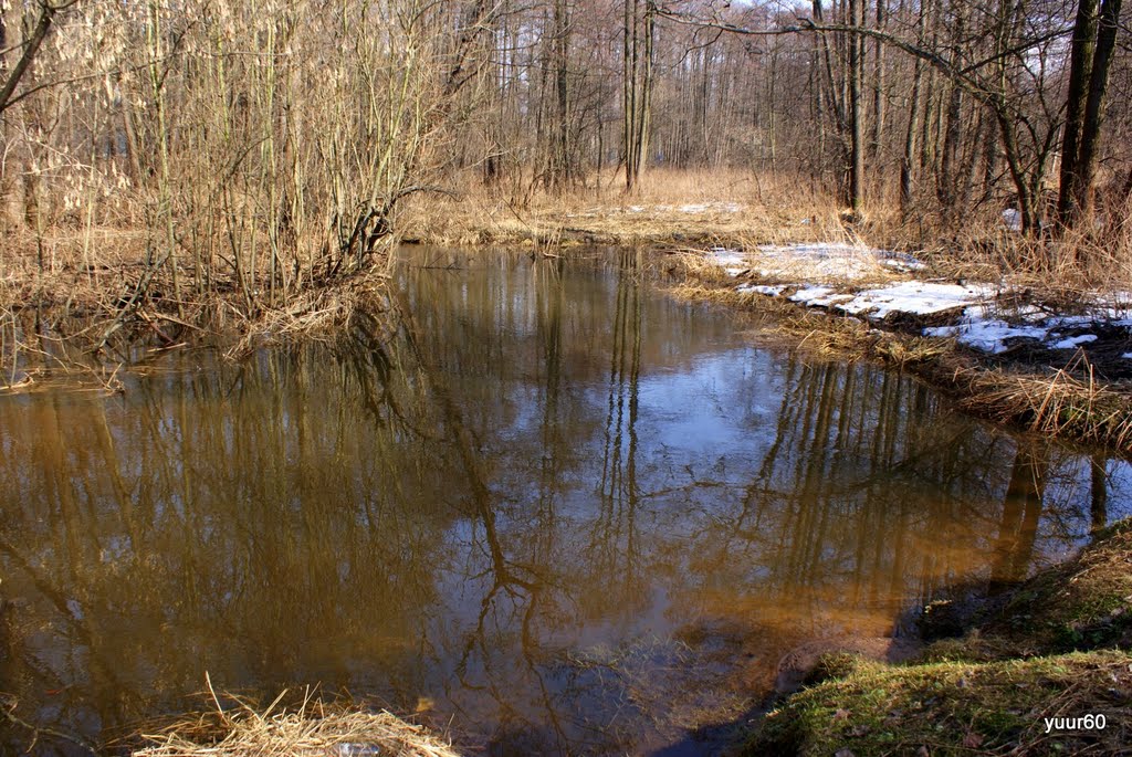 The Makedonka river.