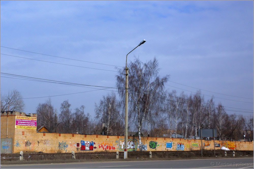 Быковские графитти