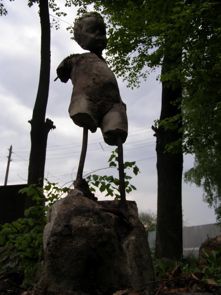 Восстание Пионеров