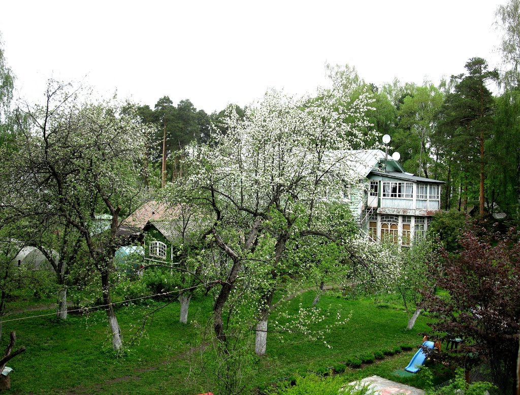 подмосковная дача